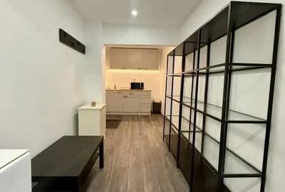 Apartament 2 camere pretabil birou-cabinet in zona Dristor-Park Lake-Parc IOR - 11