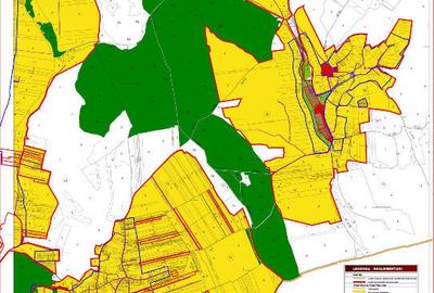 Proprietar Aroneanu Rediu Aldei teren 10500mp - 5