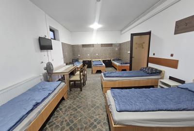 Proprietate speciala Dumbravita - casa individuala !! - 13