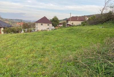 Teren intravilan de vanzare - ideal pentru construc?ia casei tale! - 4