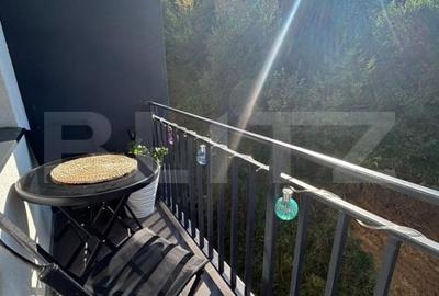 Apartament 3 camere, zona linistia - Zona Teilor - 17