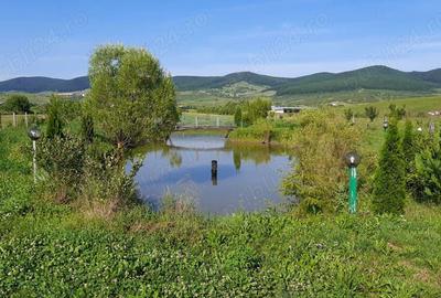 Casă cu 6 camere în Herina - 5