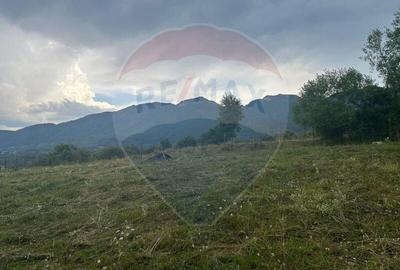 Teren intravilan de 857 mp, în Tohănița - 3