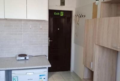 Ofer garsoniera spre inchiriere - 5
