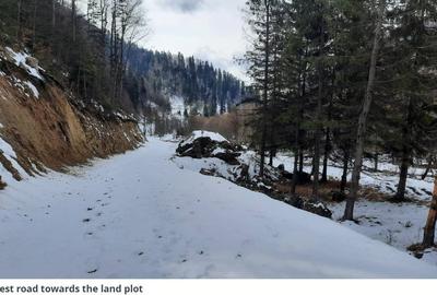 Teren Construcții intravilan de 4500 mp, în Timișu de Jos - 6