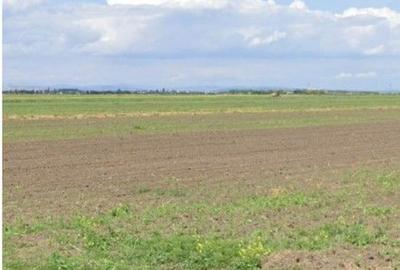 Teren extravilan Cocorastii Colt ; ID: R2710069 - 2