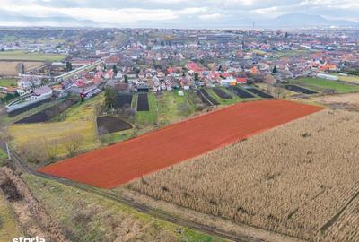 Spațiu comercial, în Bod