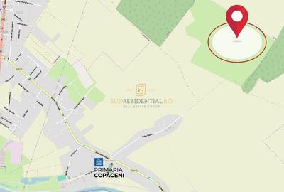 Teren de 38876 mp, în Copăceni - 1