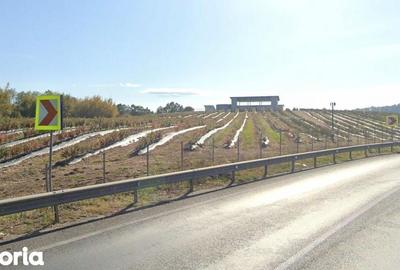 Spațiu comercial, de 370 mp, în Lăpugiu de Jos - 5