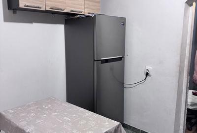 Apartament cu 2 camere decomandat în Exercițiu - 4