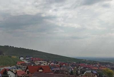 Casă cu 2 camere cu Teren 922 Mp în Central - 1