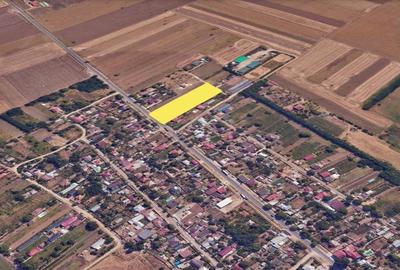 Teren intravilan 5000 mp Tamadau Mare – deschidere 35 metri la DN3 - 5