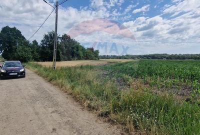 De vanzare teren 10.001 mp sat Oniscani, comuna Filipesti - 3