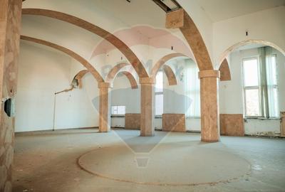 Spațiu industrial, de 1,674 mp, în Săvinești - 10