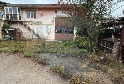 Hala - zona KAUFLAND Burdujeni - 18