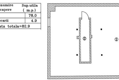 Casă cu 5 camere cu Teren 200 Mp în Alunișu - 19