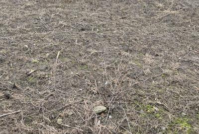 Teren de 1050 mp, în Valea Călugărească - 1