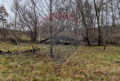 Teren de 2932 mp, în Sârbi (Budești) - 2