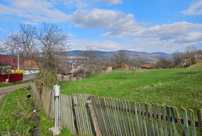 Teren Construcții intravilan de 4164 mp, în Central - 3