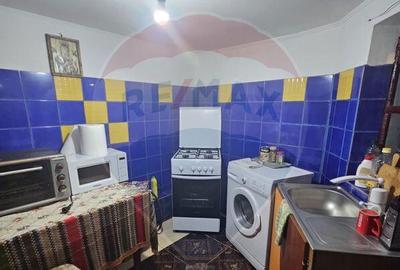 Casă cu 4 camere cu Canalizare în Alexandriei - 4