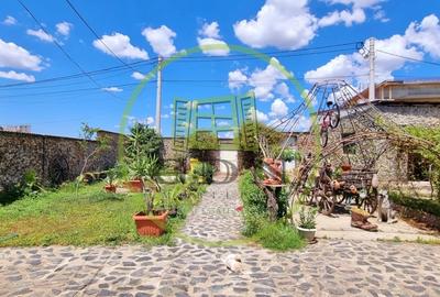 Casă individuală cu 4 camere cu Piscina în Bariera Vâlcii - 4