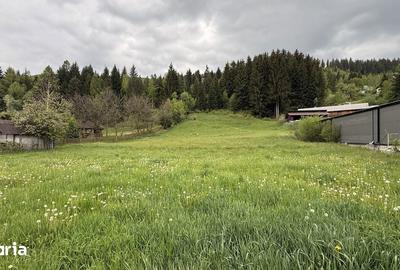 Teren de 2869 mp, în Fundu Moldovei - 1