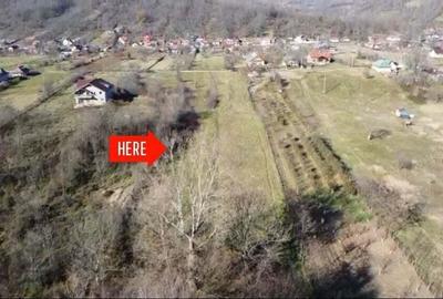 Teren 9000mp.deschidere 46ml., , Mierea Grajdana - 4