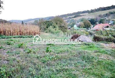 De vanzare 2 case cu 4.900 mp teren, Livezeni 0% comision - 9