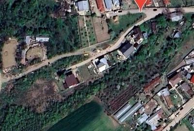 Teren intravilan 2927 mp - com. Domnesti sat Teghes - 10