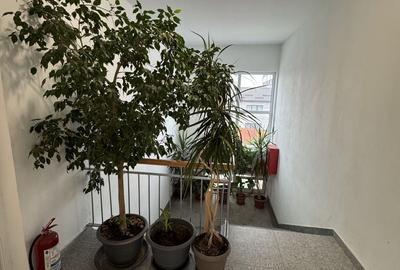 Birou, de 300 mp, în Giurgiului - 8