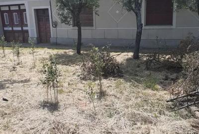 Casă cu 6 camere în Sacu - 1