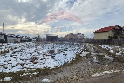 Teren Construcții intravilan de 750 mp, în Domnești - 3