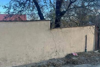 Casă cu Teren 700 Mp în Tilișca - 2