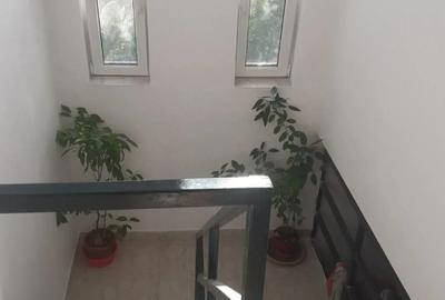 Casă individuală cu 4 camere cu Teren 3200 Mp în Toporu - 7