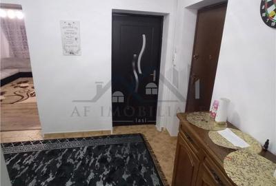 Apartament cu 4 camere, mobilat în Podu Roș - 14