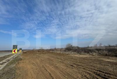 Teren Construcții intravilan de 13500 mp, în Podari - 2