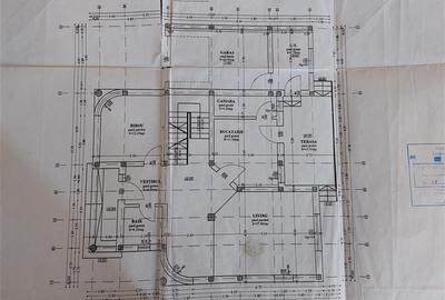 Casa spatioasa in Livada! - 18