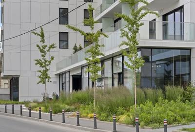 Apartament 2 camere de inchiriat ONE Timpuri Noi - 13