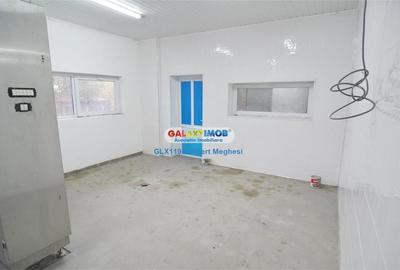 Inchiriere/vanzare spatiu productie alimentara P-ta Delfinului - 4