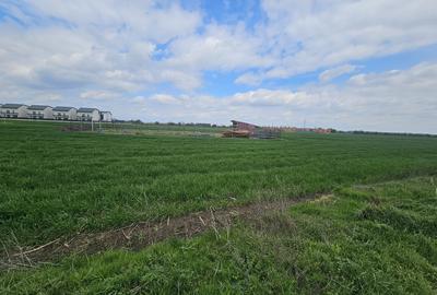 Magurele, Varteju - 3