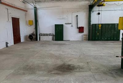 Spațiu comercial, de 400 mp, în Sânnicolau Mic - 8