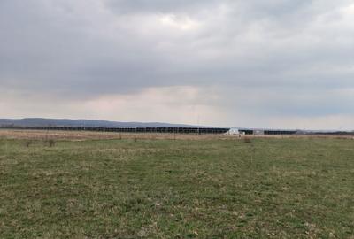 Spațiu comercial, în Dănești - 1