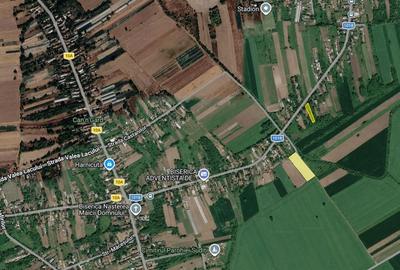 Teren agricol intravilan de 3300 mp, în Merii Petchii - 4
