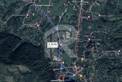 Teren investitie Bran - Predelut, la 2 km de Castelul Bran - 3