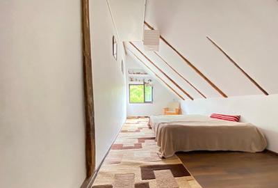 Casa de vacanta in Baiut - 8