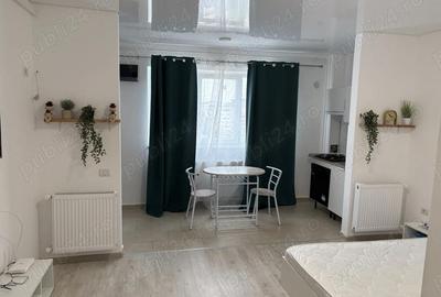 Garsonieră semidecomandată în Dudu - 8