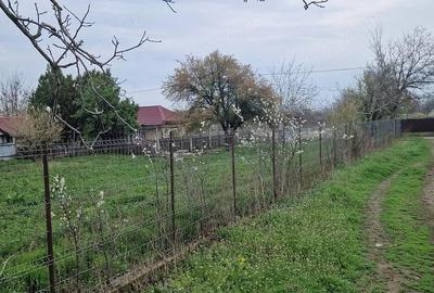 Casă cu 5 camere cu Teren 2200 Mp în Zăvoaia - 2