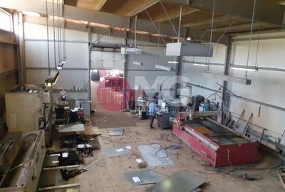 Hala industriala + teren Pausesti Valcea - 5