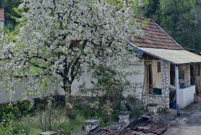Casă cu 3 camere cu Teren 1500 Mp în Gurasada - 6