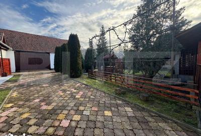 Casă cu 4 camere cu Teren 2000 Mp în Beriu - 6